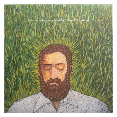 Iron and Wine - Our Endless Numbered Days (LP)