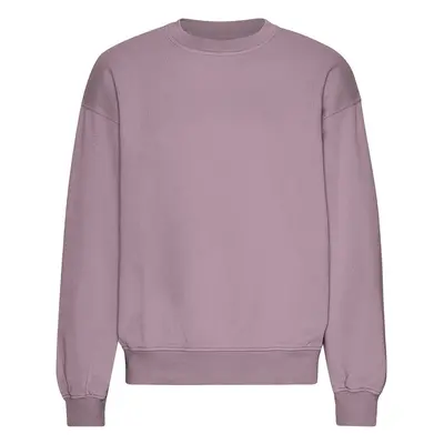 Oversized crewneck sweatshirt Colorful Standard Organic Pearly Purple