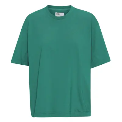 Oversized T-shirt Colorful Standard Organic