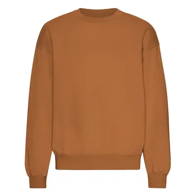 Oversized crewneck sweatshirt Colorful Standard Organic Ginger Brown