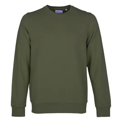 Sweatshirt Crewneck Colorful Standard Classic Organic seaweed green