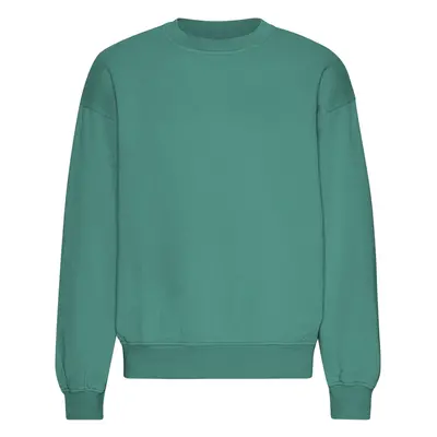 Oversized crewneck sweatshirt Colorful Standard Organic Pine Green