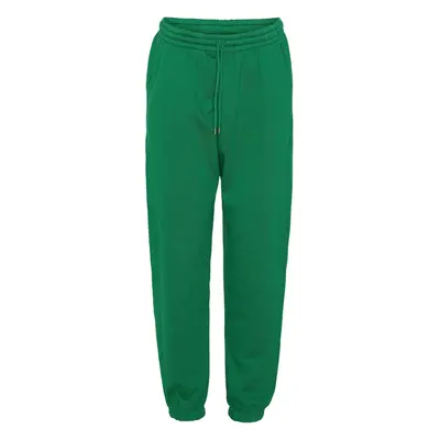 Jogging Colorful Standard Organic kelly green