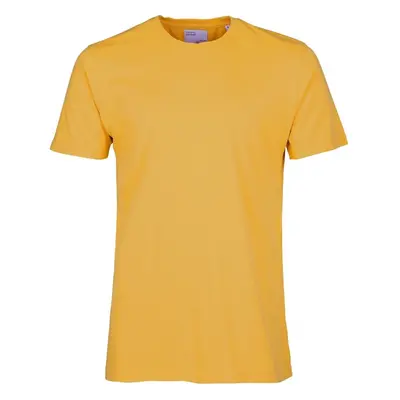 T-shirt Colorful Standard Classic Organic burned yellow