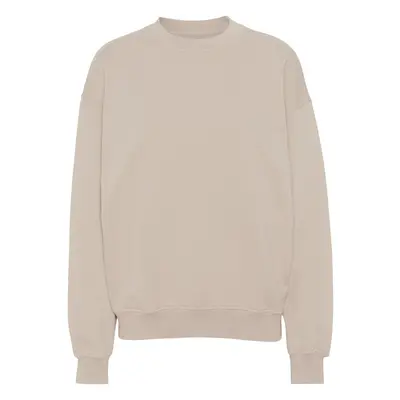 Sweatshirt Crewneck Colorful Standard Organic oversized ivory white