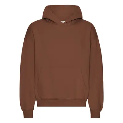 Oversized hoodie Colorful Standard Organic