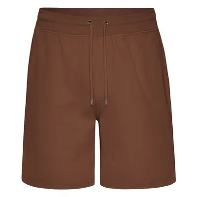 Short Colorful Standard Classic Organic Cinnamon Brown