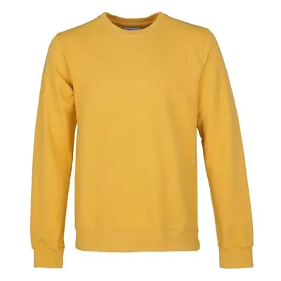 Sweatshirt Crewneck Colorful Standard Classic Organic burned yellow