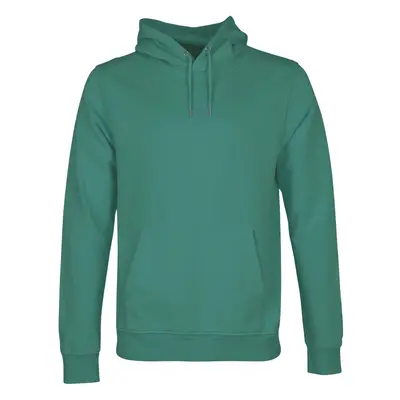 Hoodie Colorful Standard Classic Organic Pine Green