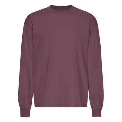 Oversized long-sleeve T-shirt Colorful Standard Organic Dusty Plum