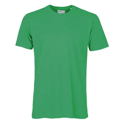 T-shirt Colorful Standard Classic Organic kelly green