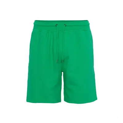 Short Colorful Standard Classic Organic kelly green