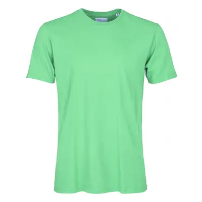 T-shirt Colorful Standard Classic Organic spring green