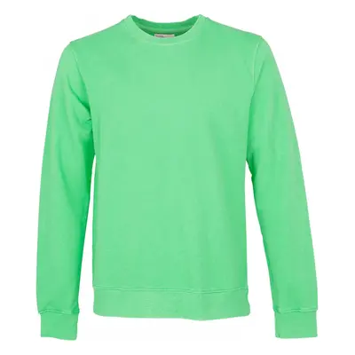 Sweatshirt Crewneck Colorful Standard Classic Organic spring green