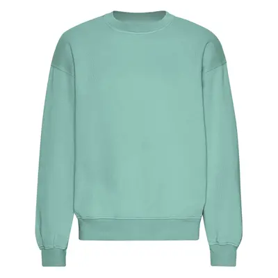 Oversized sweatshirt Colorful Standard Organic