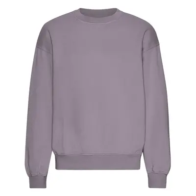 Oversized crewneck sweatshirt Colorful Standard Organic Purple Haze