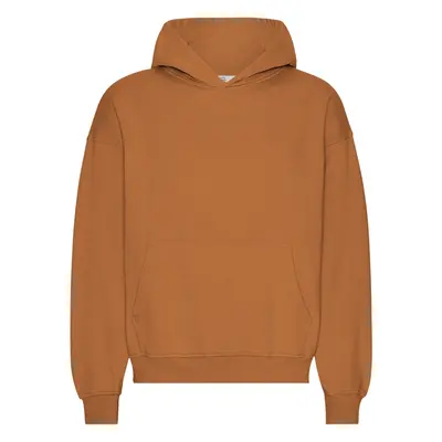 Oversized hooded sweatshirt Colorful Standard Organic Ginger Brown