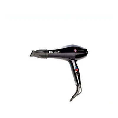 Hairdryer Palson Secador Professional Black