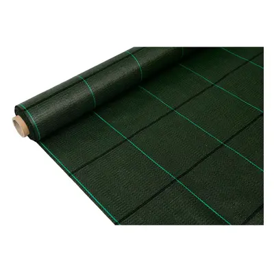 Weed control mesh Fun&Go 2 x 25 m Green 100 g/m²