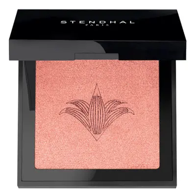 Eyeshadow Stendhal Nº 300 8 ml Highlighter