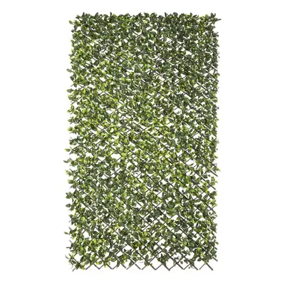 Lattice Natural Ivy wicker Bamboo 2 x 200 x 100 cm