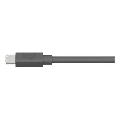 Cable USB C Logitech 950-000005 10 m Black