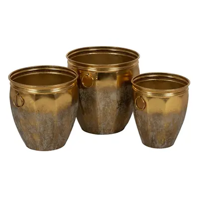 Planter Golden Iron (3 Units)