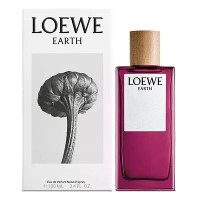 Men's Perfume Loewe EDP 100 ml