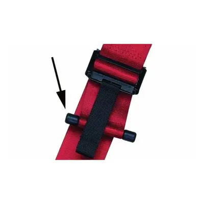 Safety belt SCHROTH RACING SH00092