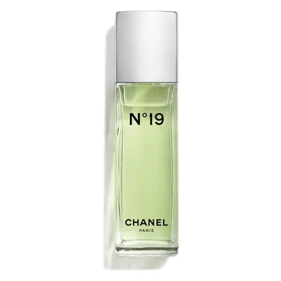 Women's Perfume Chanel Nº 19 EDT 100 ml