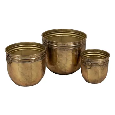 Planter Golden Iron (3 Units)