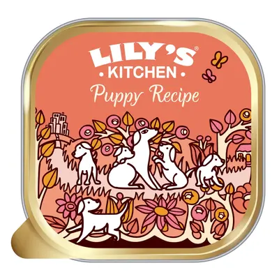 Lily's Kitchen Puppy Recipe with Chicken, Potatoes & Carrots - 12 x 150g