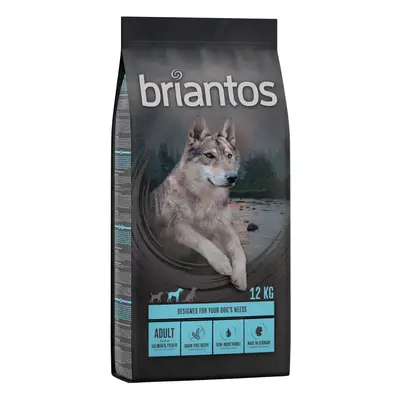 Briantos Adult Grain-Free Salmon & Potato - Economy Pack: 2 x 12kg