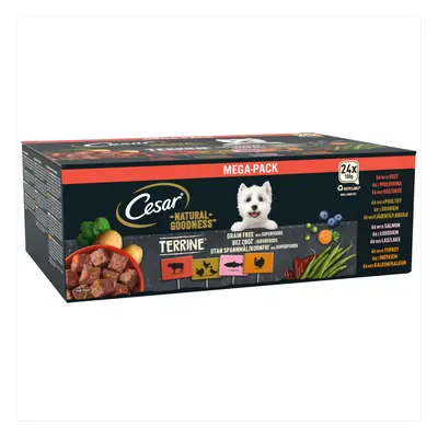 Cesar Natural Goodness Terrine Mixed Selection - 24 x 100g