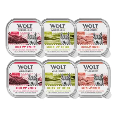 Wolf of Wilderness Classic Adult Trays Mixed Pack - 6 x 300g Mixed Pack (Beef, Turkey, Lamb)