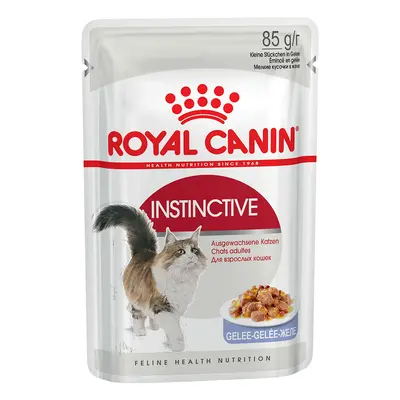 Royal Canin Wet Cat Food Saver Pack 48 x 85g - Adult Instinctive in Jelly