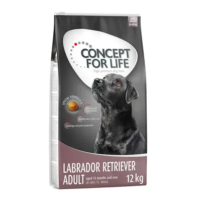 Concept for Life Labrador Retriever Adult - Economy Pack: 2 x 12kg