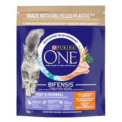 PURINA ONE Coat & Hairball Chicken & Whole Grains Dry Cat Food - 750g