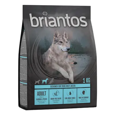 Briantos Adult Grain-Free Salmon & Potato - 1kg