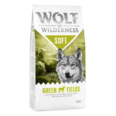 Wolf of Wilderness Soft "Green Fields" - Lamb - Economy Pack: 2 x 12kg