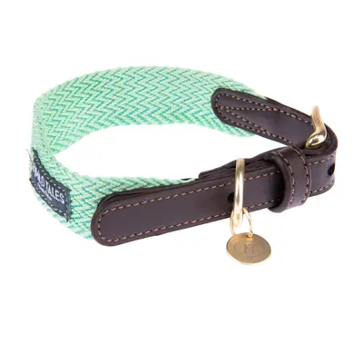 Nomad Tales Bloom Collar - Mint - Size M: 40 - 46 cm Neck Circumference, 32mm Width