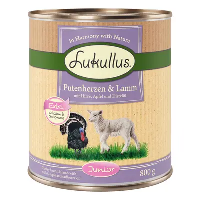 Lukullus Junior Turkey Hearts & Lamb - 6 x 800g