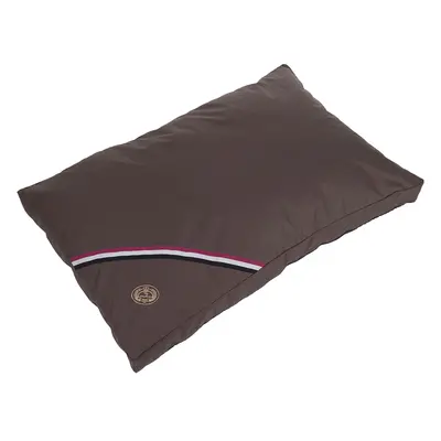 Champion Dog Cushion - 120 x 80 x 10cm (L x W x H)