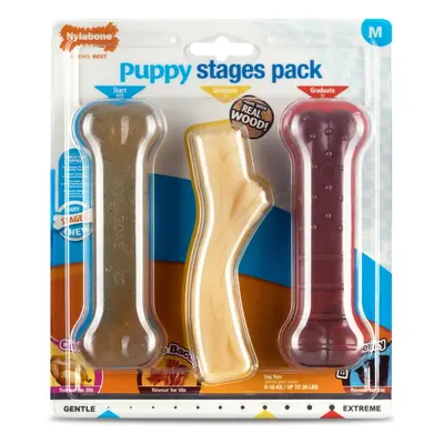 Nylabone Puppy Stages Pack Chew Toys - Medium