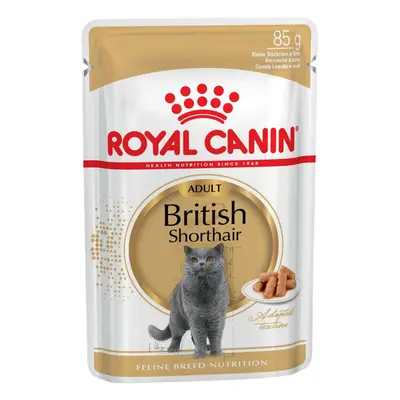 Royal Canin British Shorthair Adult in Gravy - 12 x 85g