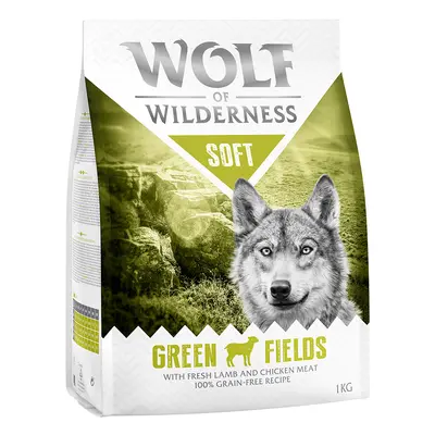 2 x 1kg Wolf of Wilderness Dry Dog Food - Try Now! - Adult Soft "Green Fields" Lamb (2 x 1kg)