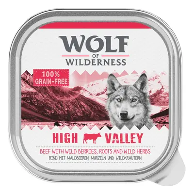 Wolf of Wilderness Adult Saver Pack 24 x 300g - High Valley - Beef