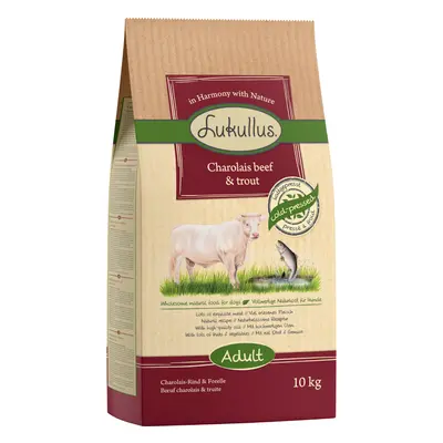 Lukullus Cold-Pressed Dry Dog Food Economy Pack 2 x 10kg - Charolais Beef & Trout