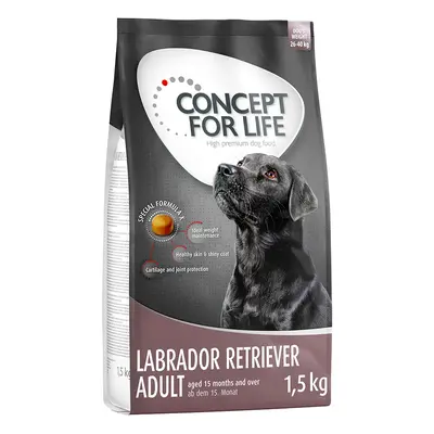 Concept for Life Labrador Retriever Adult - 6kg