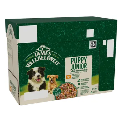 James Wellbeloved Puppy & Junior Hypoallergenic Pouches - Turkey with Rice - Saver Pack: 48 x 90